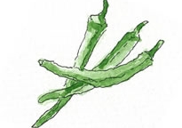 伏見とうがらし