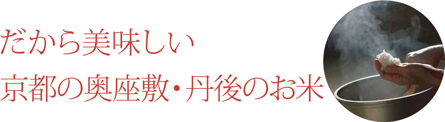 丹後こしひかり