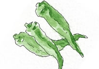 万願寺とうがらし